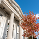 Illustration for article titled 2019-10-20 Looking for Fall Colours Around Downtown Kingston